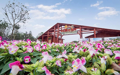 首页| BG大游集团中国官方网站