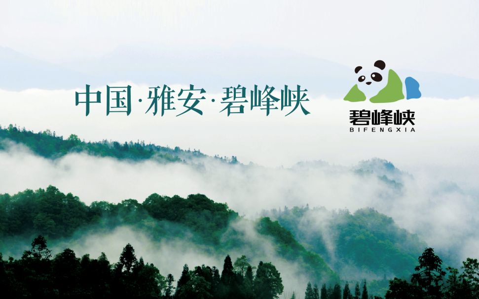 首页| BG大游集团中国官方网站