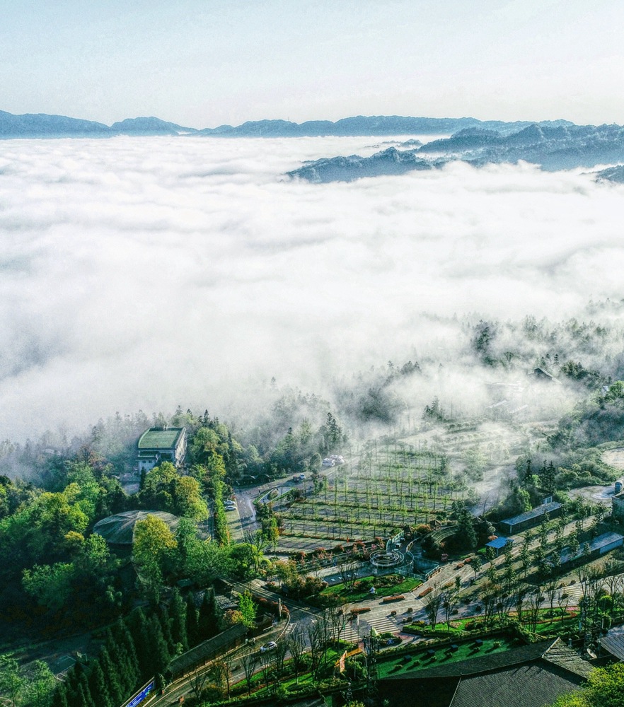 首页| BG大游集团中国官方网站