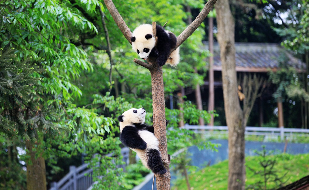 首页| BG大游集团中国官方网站