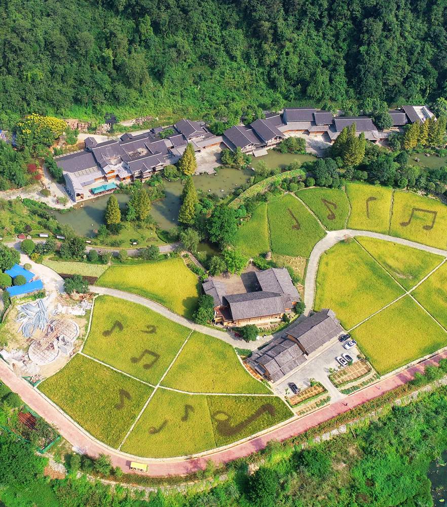 首页| BG大游集团中国官方网站