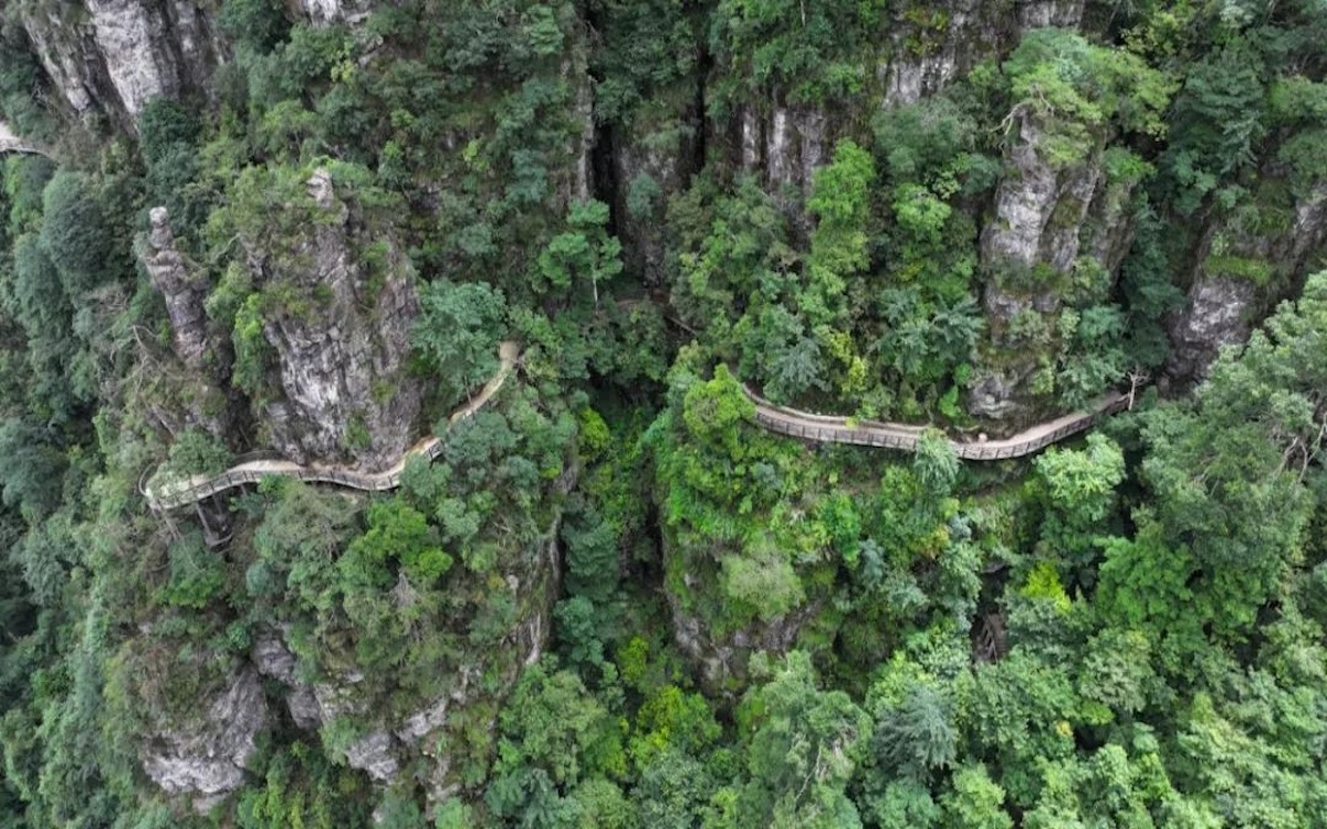 首页| BG大游集团中国官方网站
